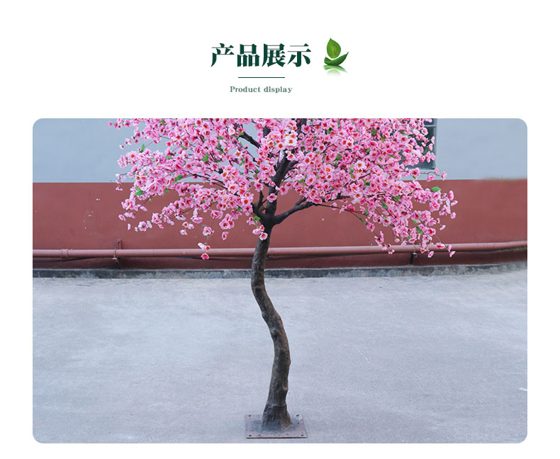 桃花樹(shù)詳情頁(yè)_05.jpg