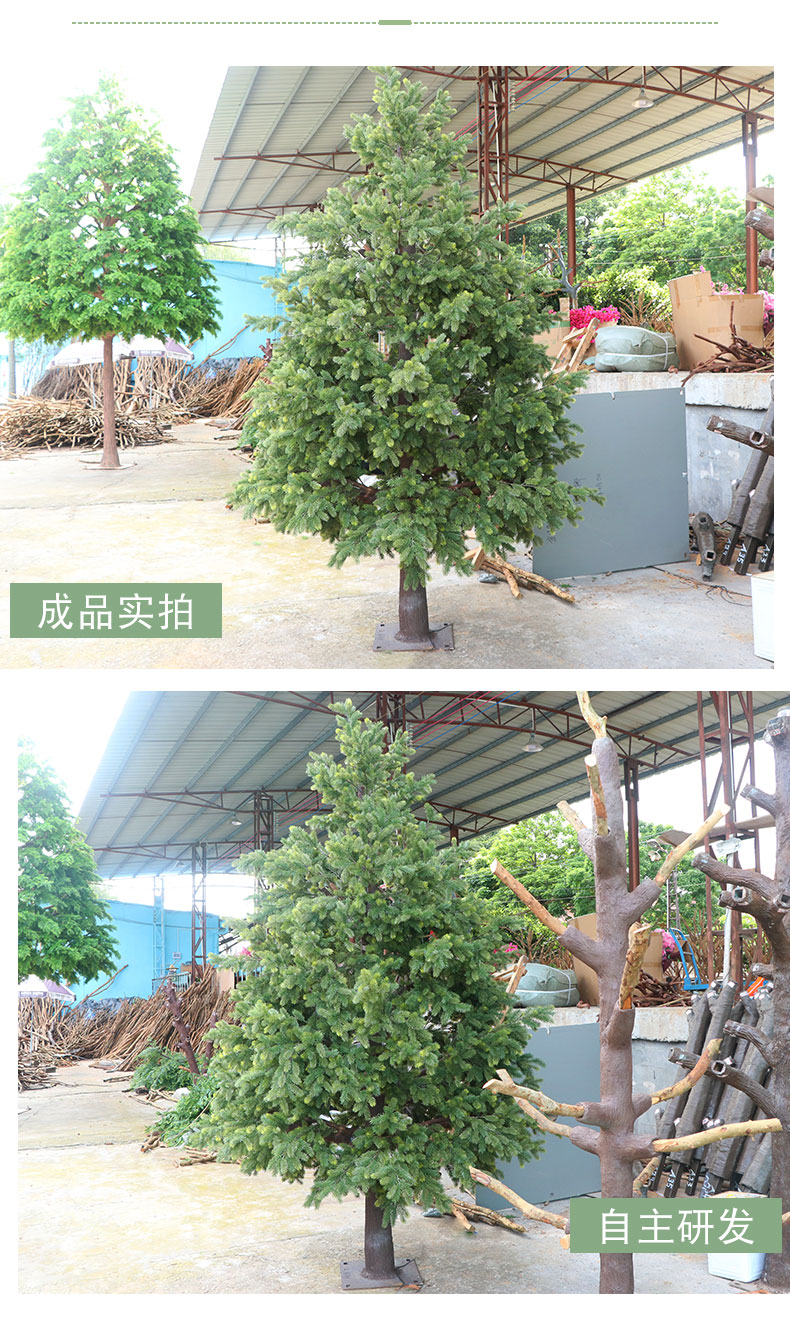 南陽(yáng)杉詳情頁(yè)_05.jpg