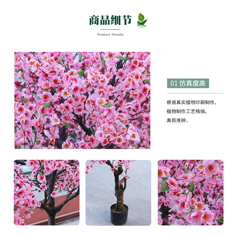 桃花樹(shù)詳情頁(yè)_04.jpg