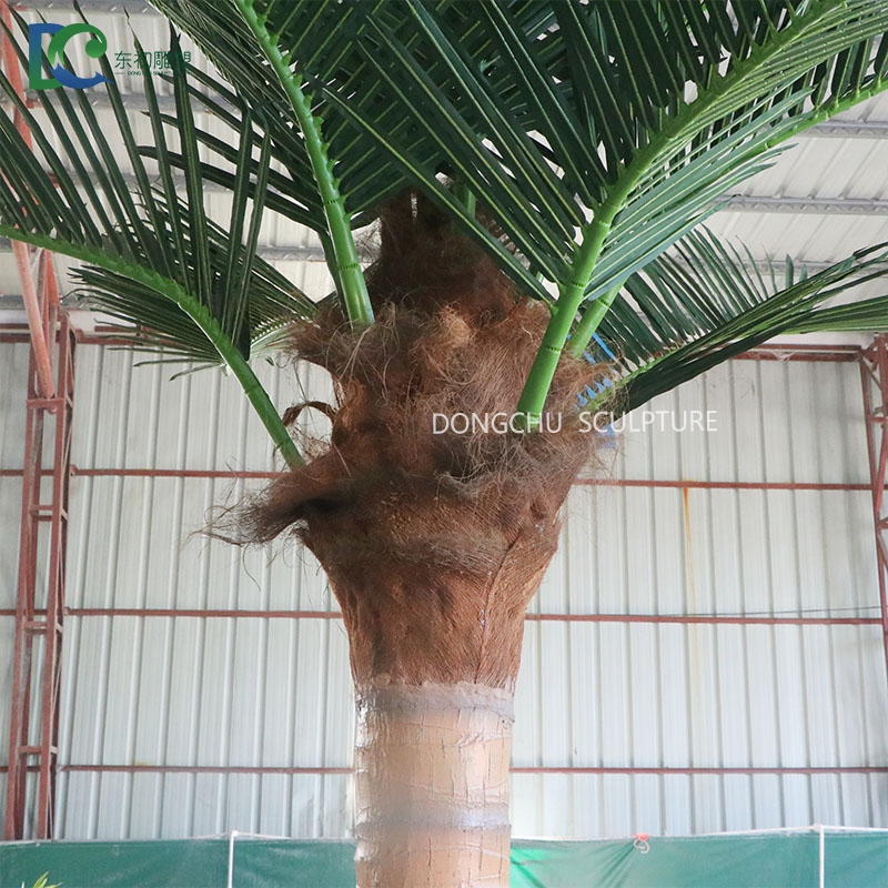 椰子树主图2.jpg
