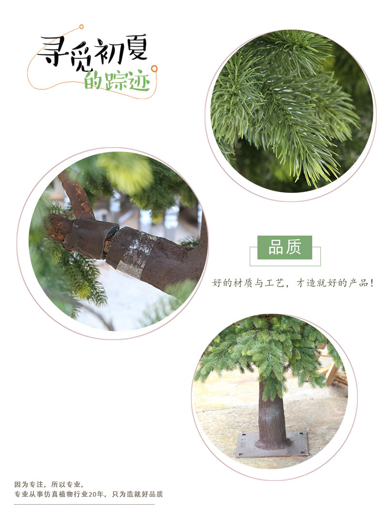南陽(yáng)杉詳情頁(yè)_06.jpg
