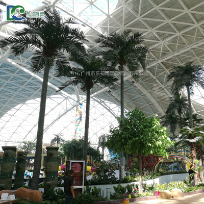 銀川天山海世界椰子樹.