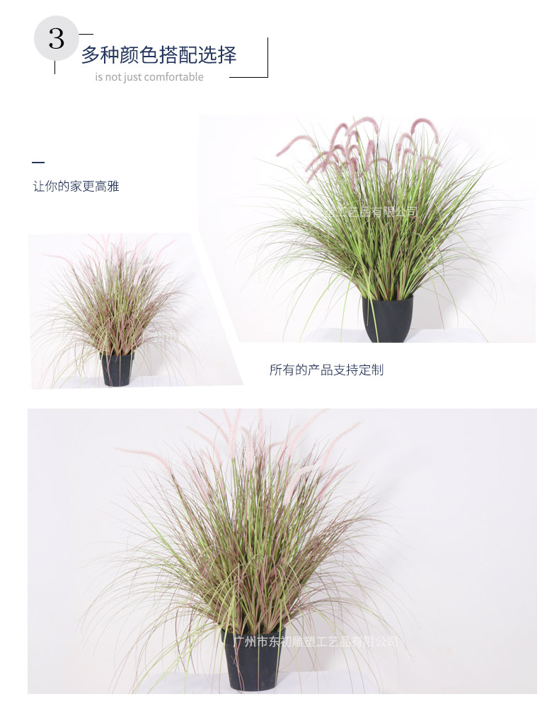洋蔥草盆景詳情頁(yè)_05.jpg