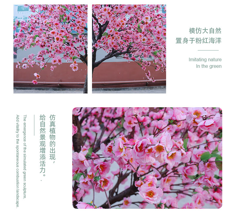桃花樹(shù)詳情頁(yè)_06.jpg