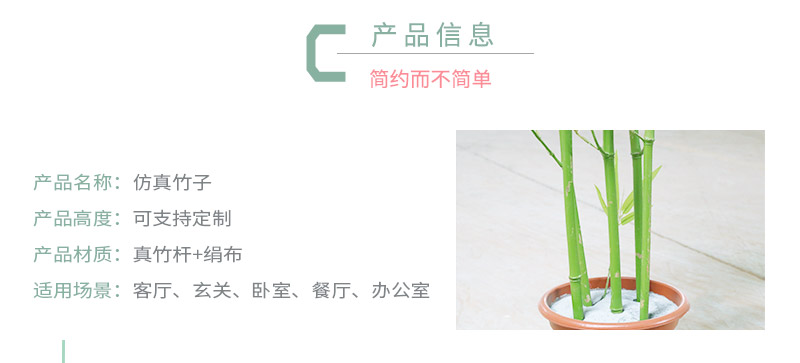 竹子詳情頁_02.jpg