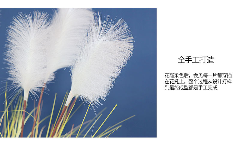 11頭蘆葦詳情頁_07.jpg