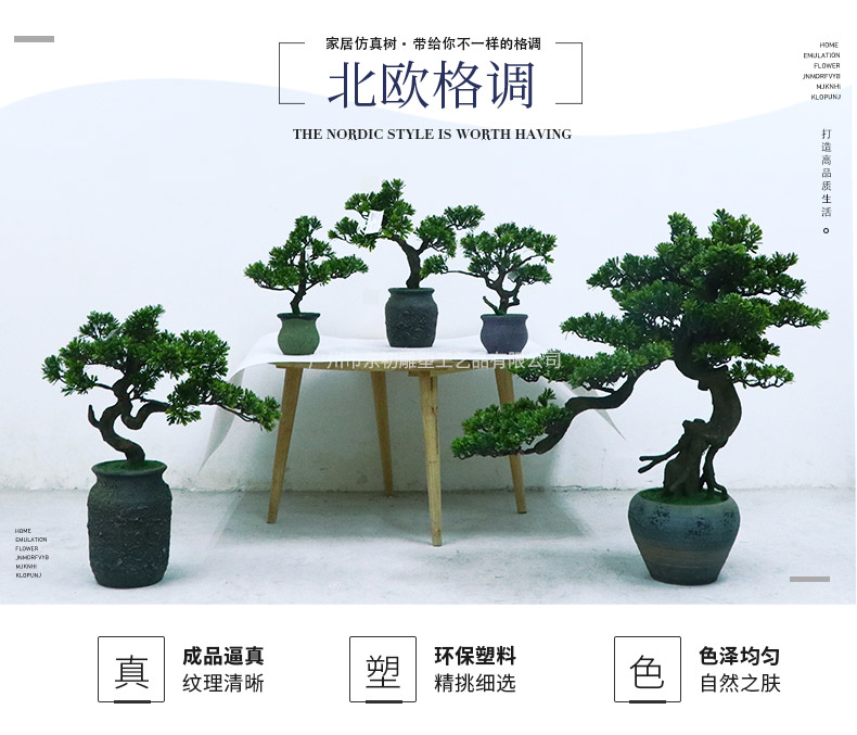 星星葉詳情頁_01.jpg