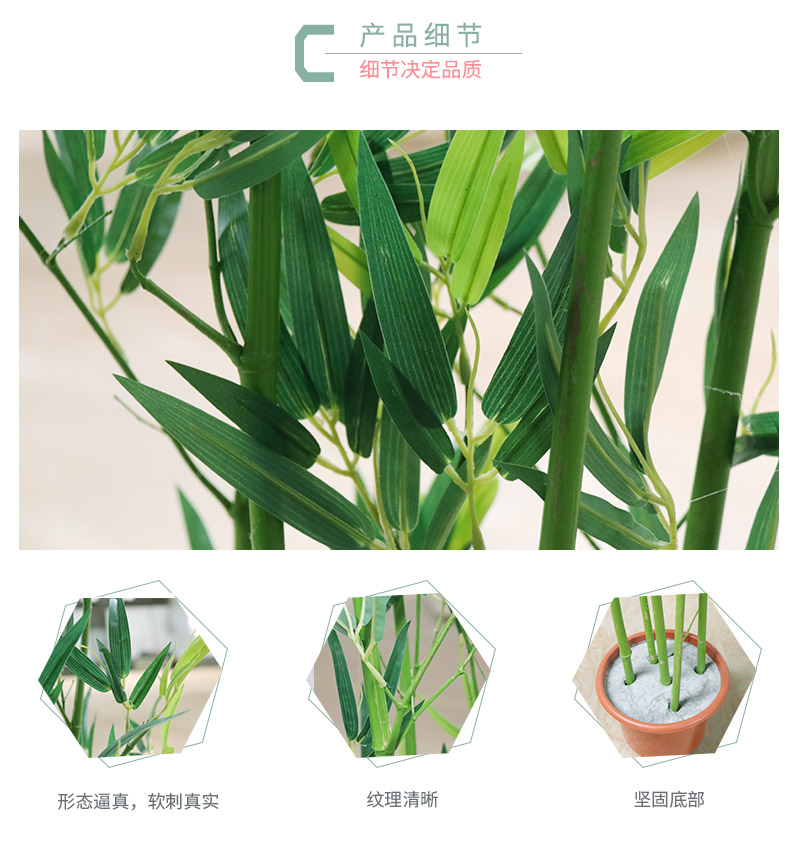 竹子詳情頁_05.jpg
