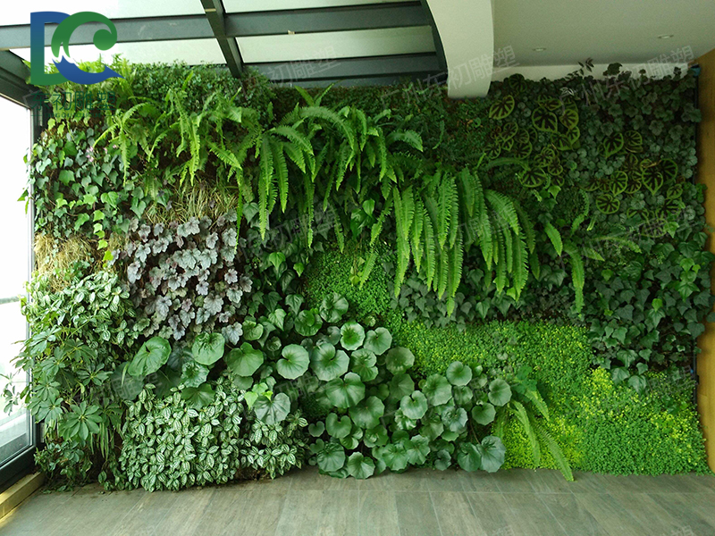 还有就是仿真植物墙也分为室内仿真植物墙和户外仿真植物墙;而这两种